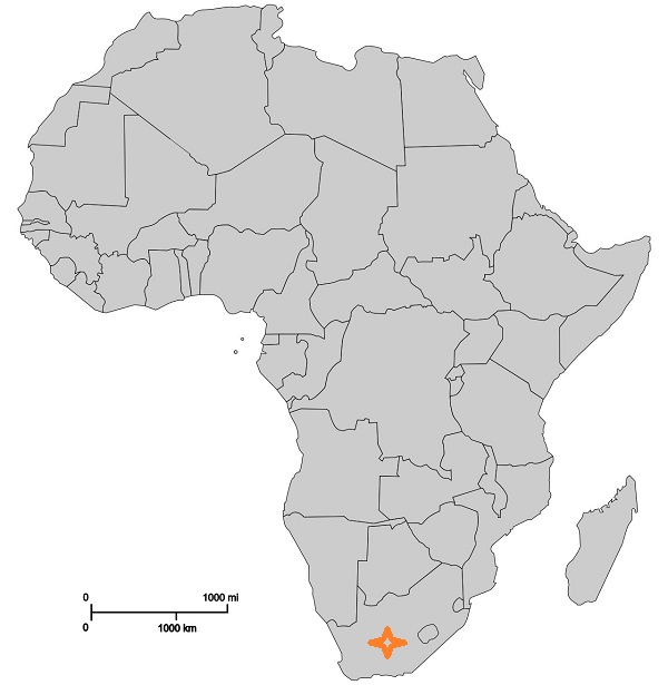 africa1.jpg