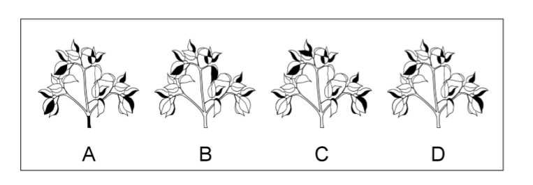 Fig3Reponse.PNG
