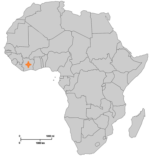 africa3.jpg
