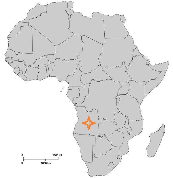 africa6.jpg