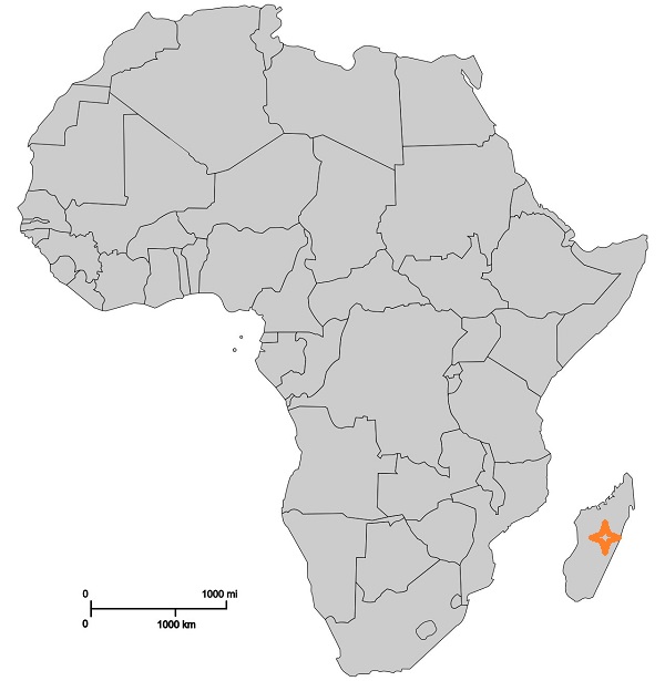 africa7.jpg