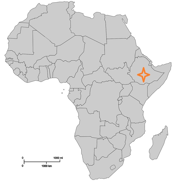 africa8.jpg