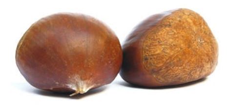 Arbre2.JPG