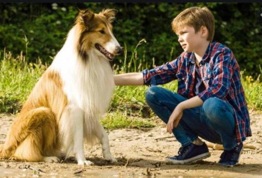 chien5.jpg