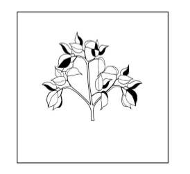 Fig3.PNG