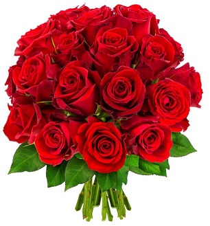 fleur1.JPG