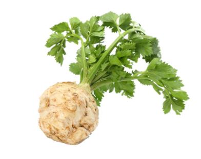 herbe8.jpg