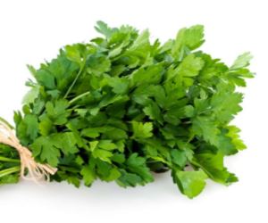 herbe9.jpg