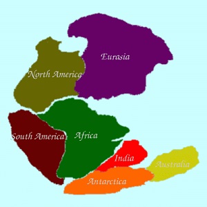 pangee.jpg