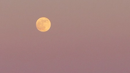 pix_lune.jpg