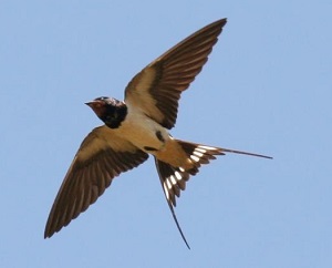 quecul3.jpg