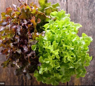 salade2.jpg