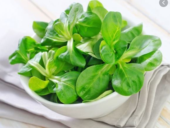 salade7.jpg