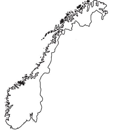 silPays2.jpg