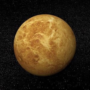 venus.jpg
